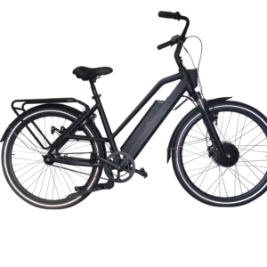 Daily e-bike rental (6 days)